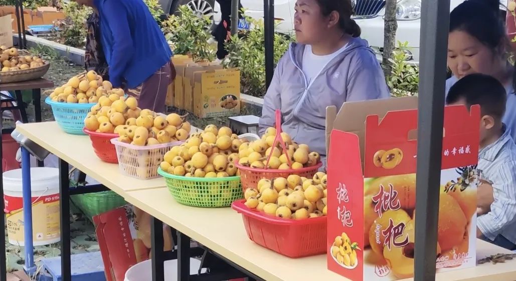 汇旺娱乐