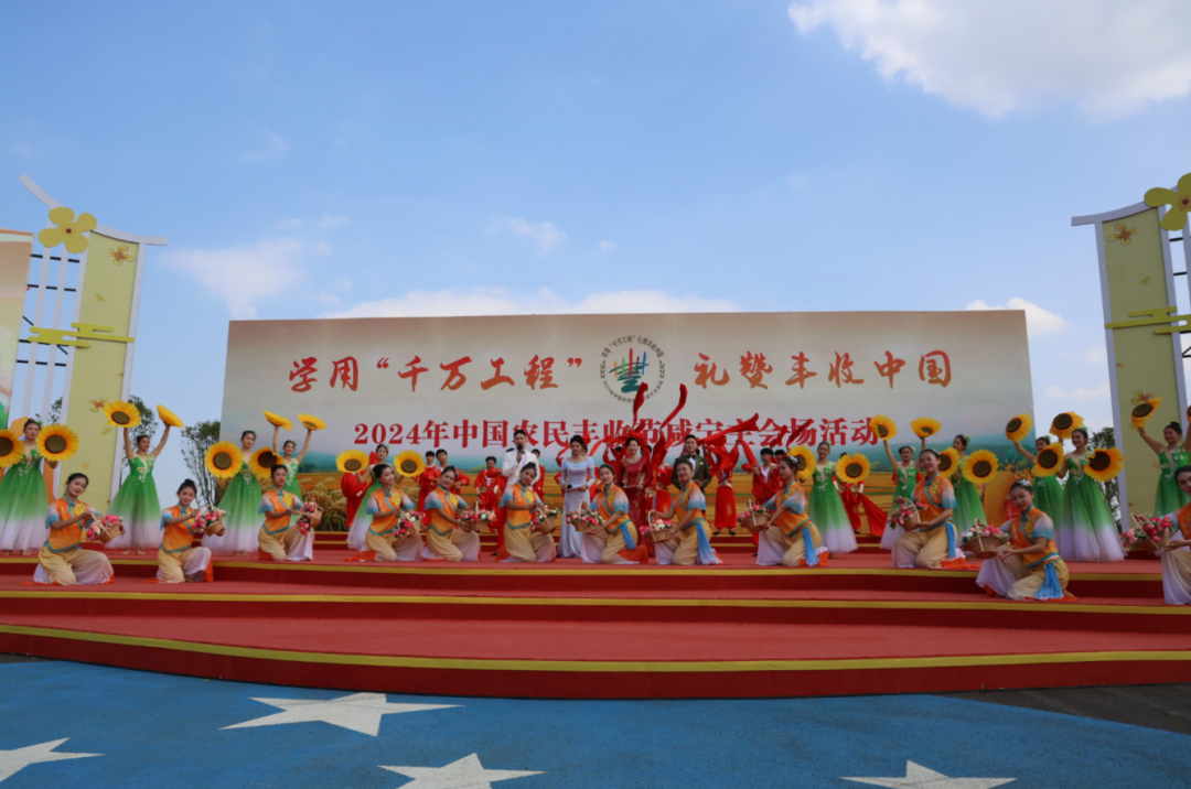 汇旺娱乐