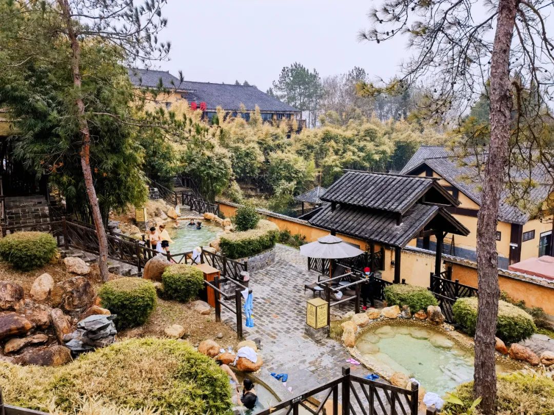 汇旺娱乐