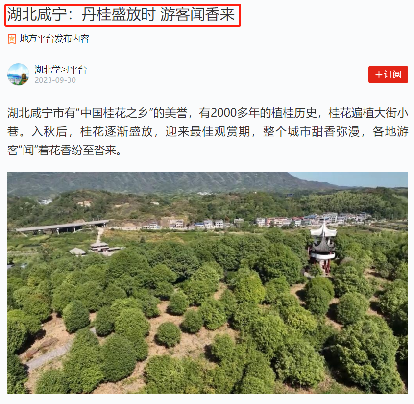 汇旺娱乐