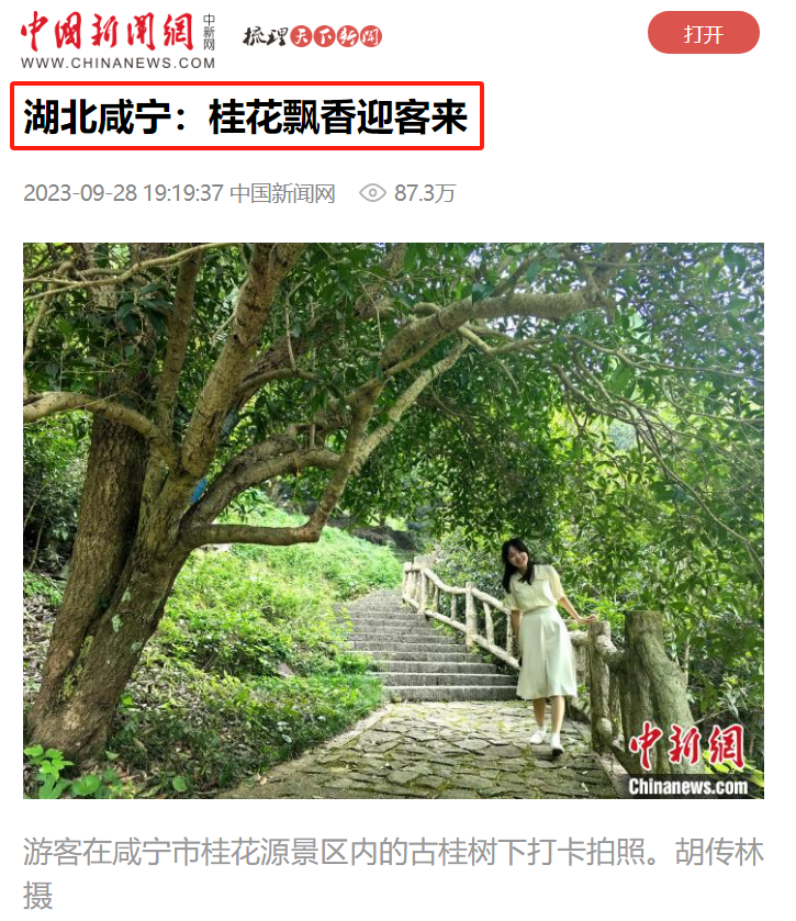 汇旺娱乐