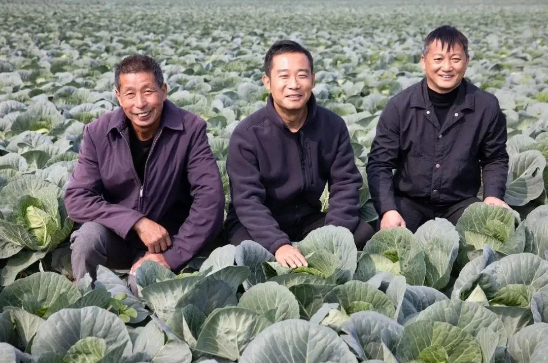 汇旺娱乐