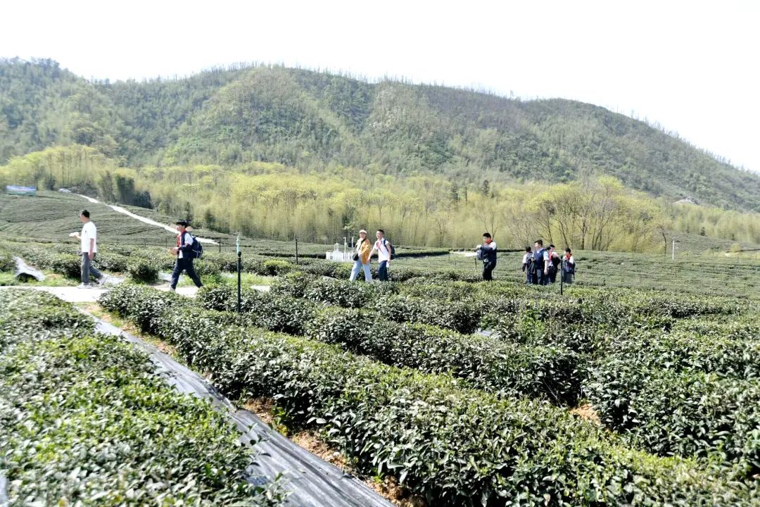 汇旺娱乐