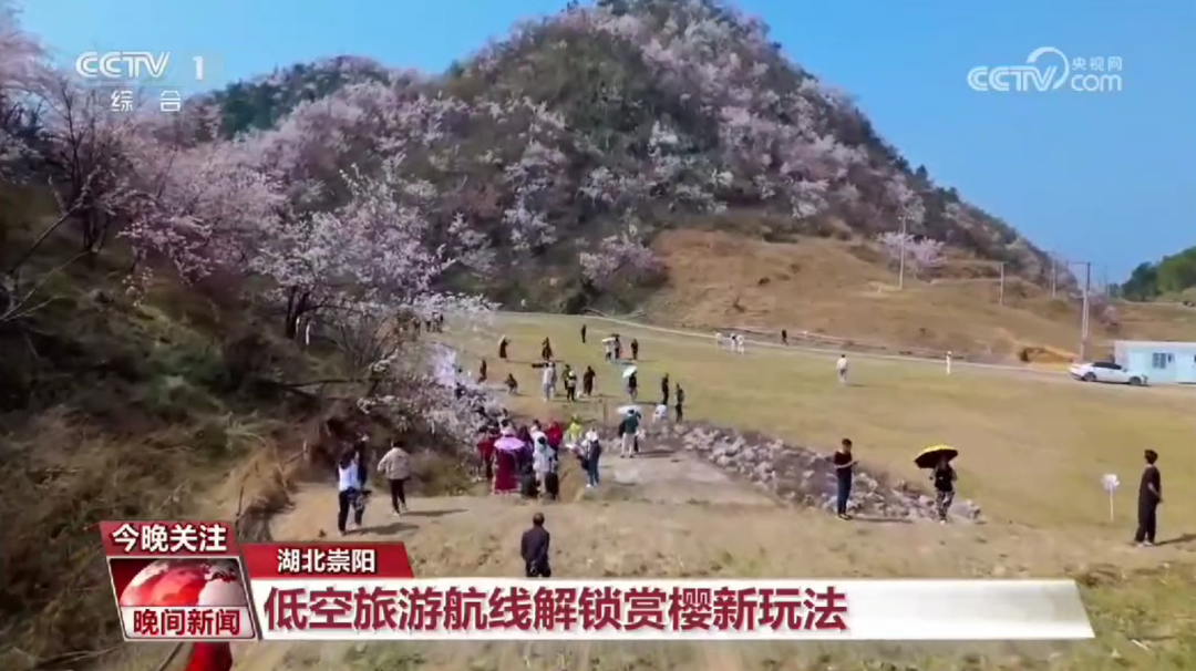 汇旺娱乐