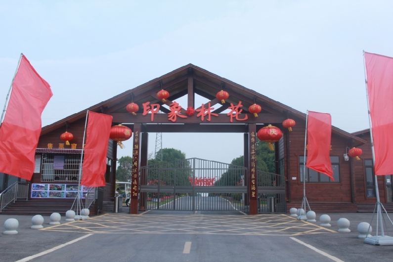 汇旺娱乐