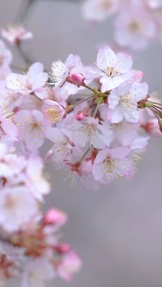 汇旺娱乐