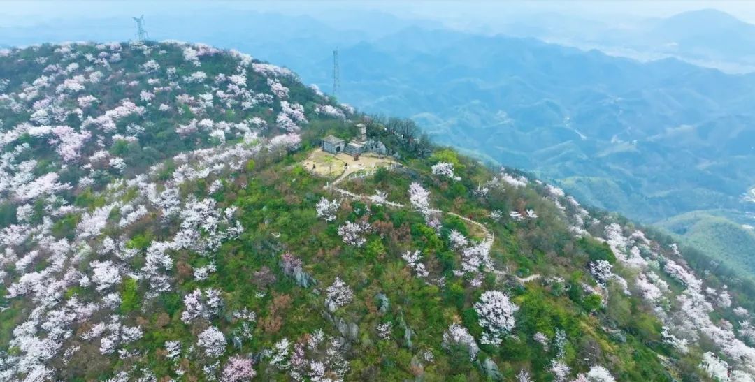 汇旺娱乐