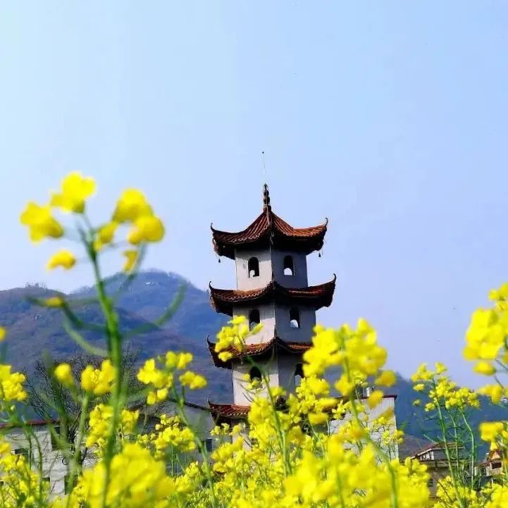 汇旺娱乐