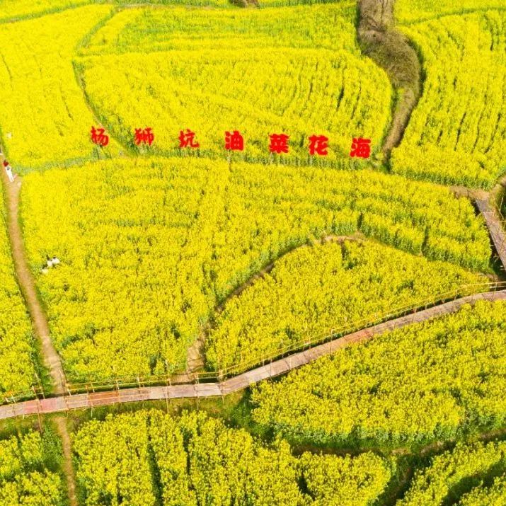 汇旺娱乐