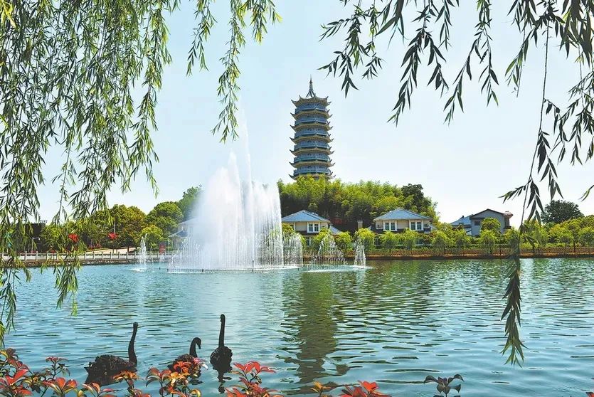 汇旺娱乐