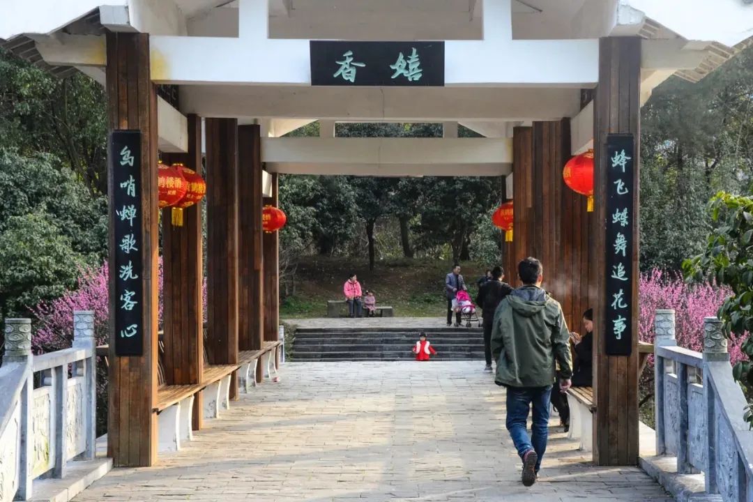 汇旺娱乐