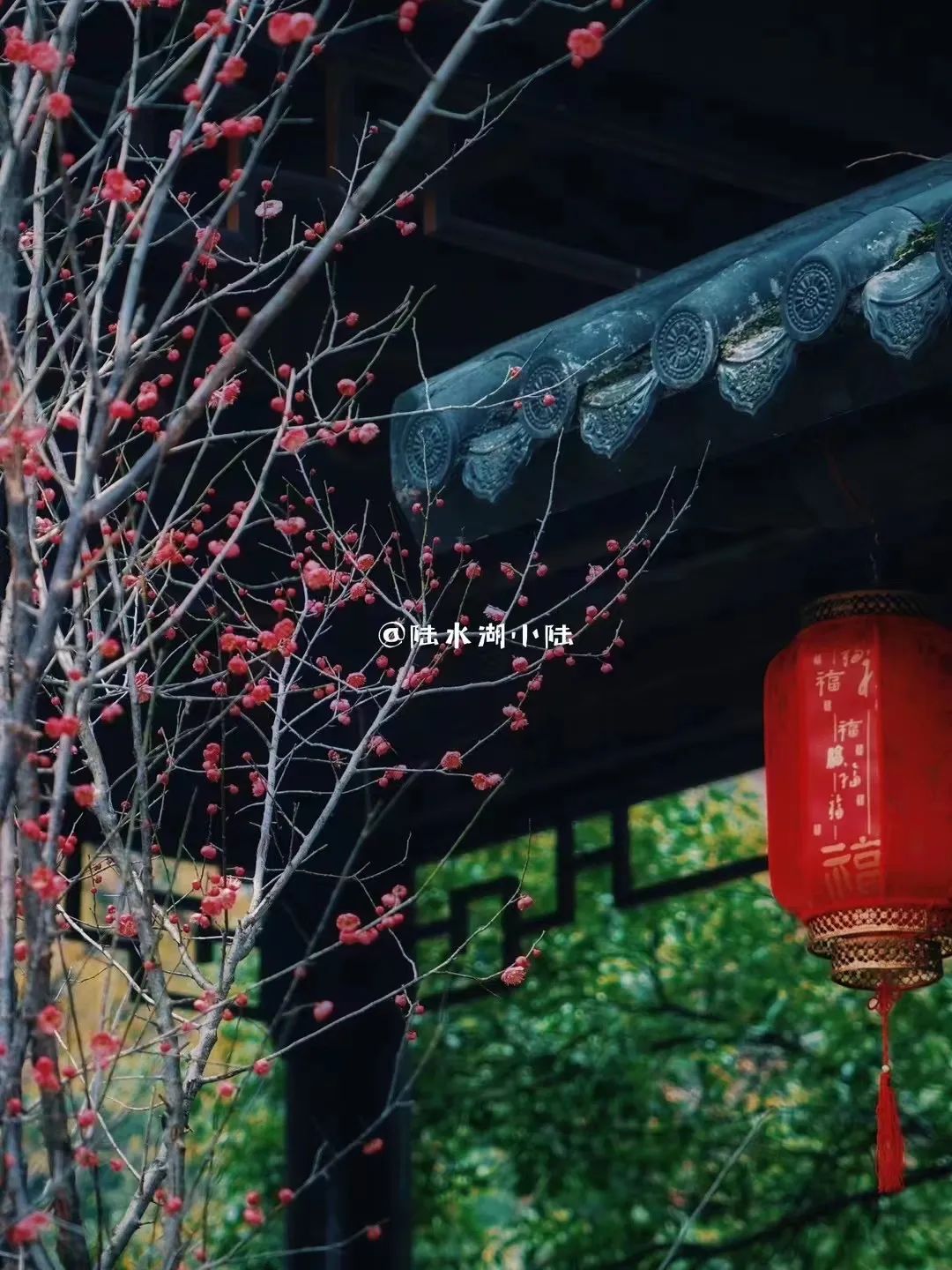 汇旺娱乐