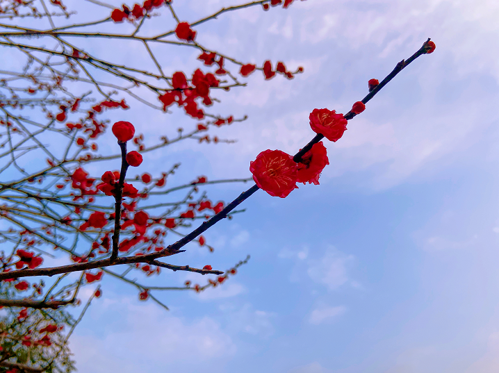 汇旺娱乐